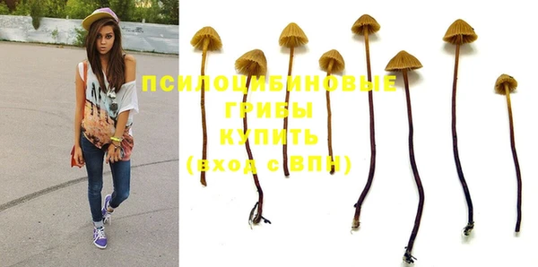 таблы Армянск