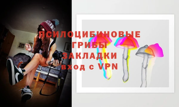 прущие грибы Баксан