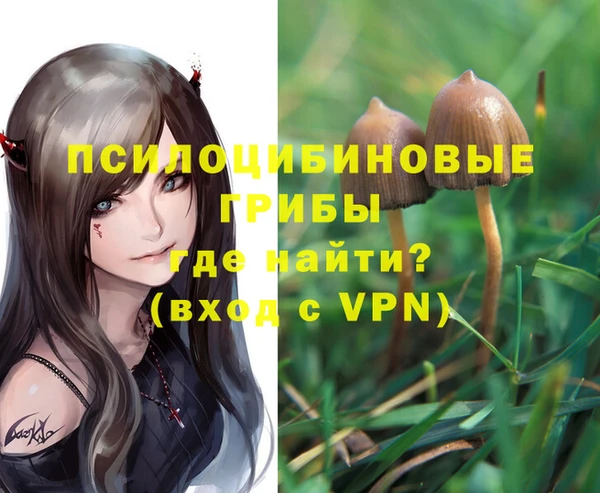 таблы Армянск