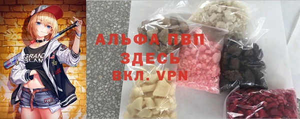 прущие грибы Баксан