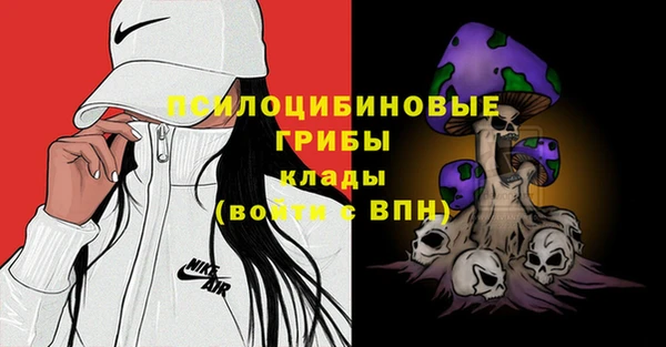 таблы Армянск