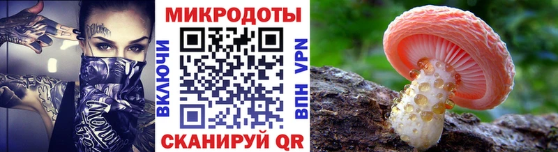 Купить  Тавда  Псилоцибиновые грибы Psilocybe 